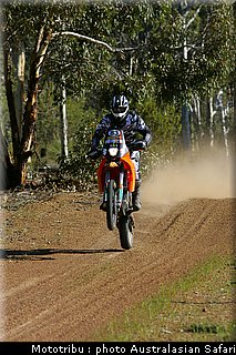 lang_australasian_safari2009.jpg