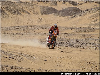 marc_coma2008_009.jpg