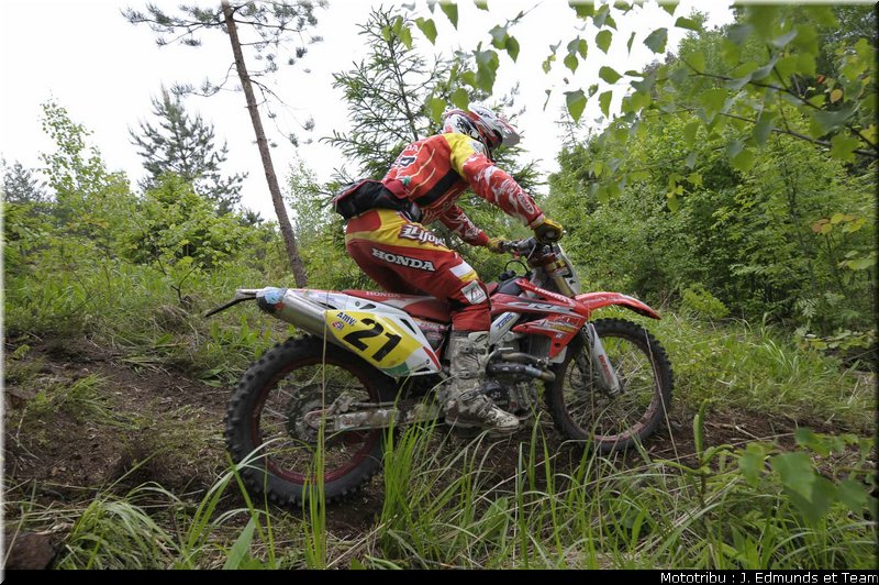 mossini_2