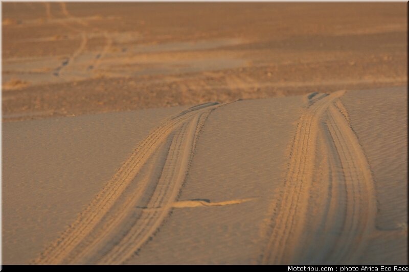africa_eco_race_reco_2010_002