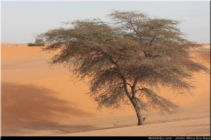 africa_eco_race_reco_2010_004