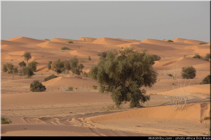 africa_eco_race_reco_2010_005