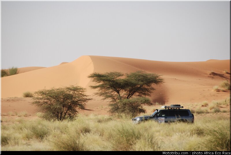 africa_eco_race_reco_2010_026