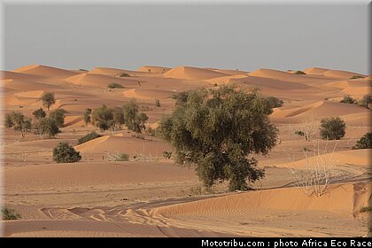 africa_eco_race_reco_2010_005.jpg