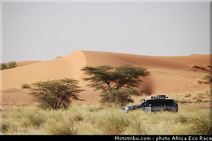 africa_eco_race_reco_2010_026.jpg