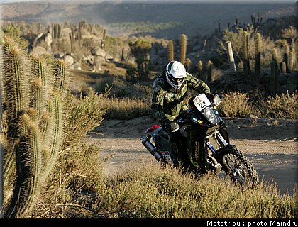 dakar_2010_berglund_3.jpg