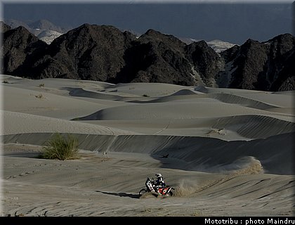 dakar_2010_cucurachi_1.jpg