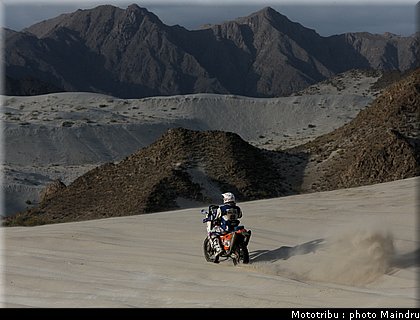 dakar_2010_cucurachi_4.jpg