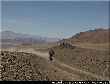 despres_012_dakar_2010.jpg
