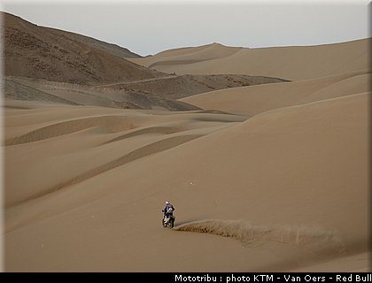 despres_014_dakar_2010.jpg
