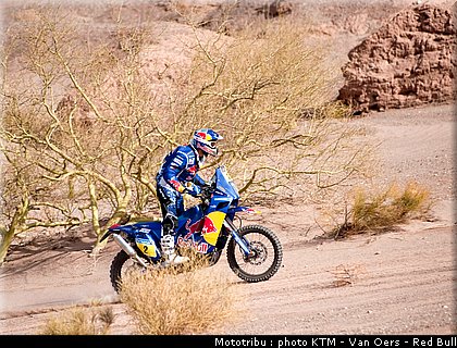 despres_036_dakar_2010.jpg
