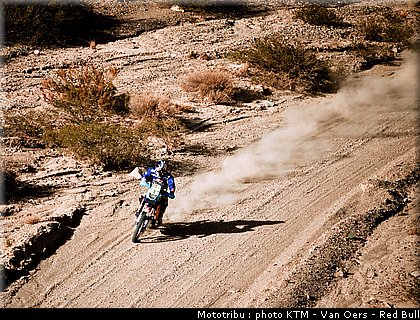 rodrigues_18_dakar_2010.jpg