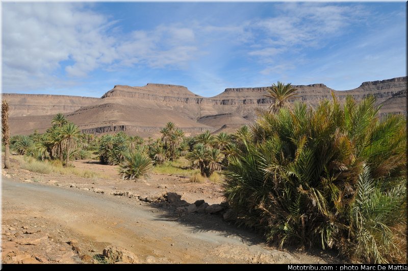 rallye_maroc_2010_ambiance_02
