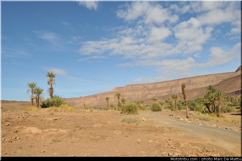 rallye_maroc_2010_ambiance_04