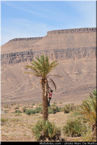rallye_maroc_2010_ambiance_05