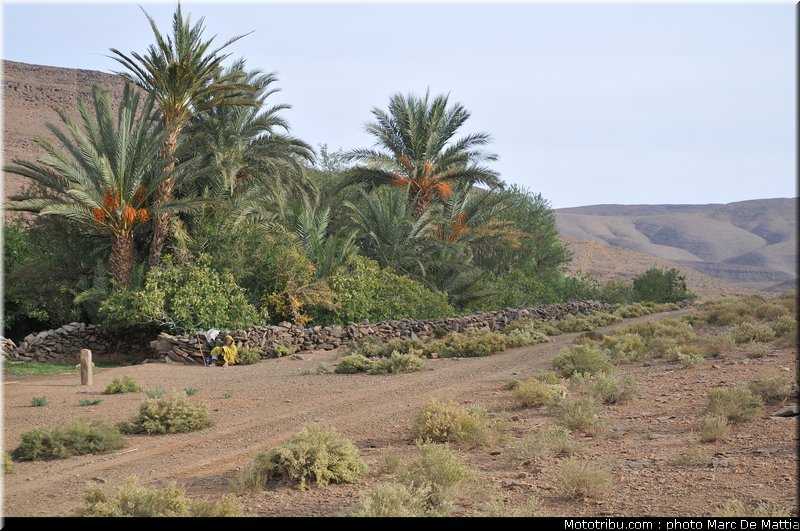 rallye_maroc_2010_ambiance_35