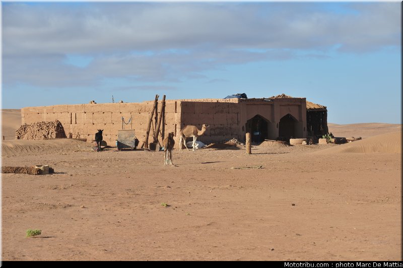 rallye_maroc_2010_ambiance_40