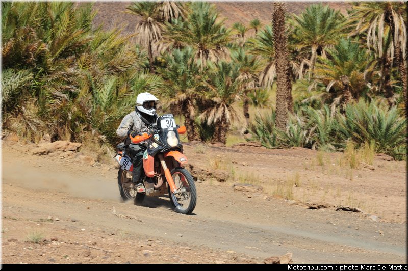 rallye_maroc_2010_cook