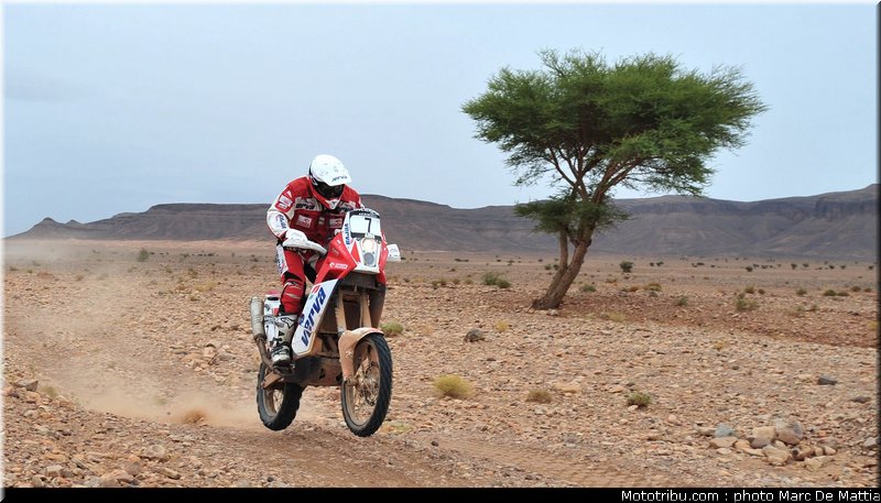 rallye_maroc_2010_dabrowski_07
