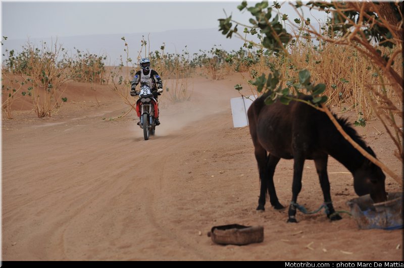 rallye_maroc_2010_duarte_4