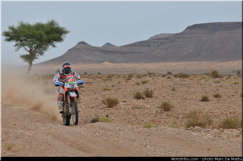 rallye_maroc_2010_goncalves_01