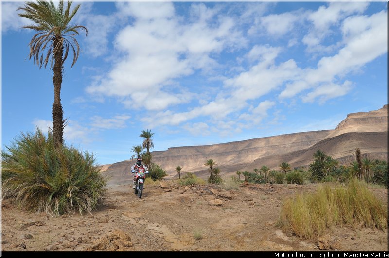 rallye_maroc_2010_goncalves_05