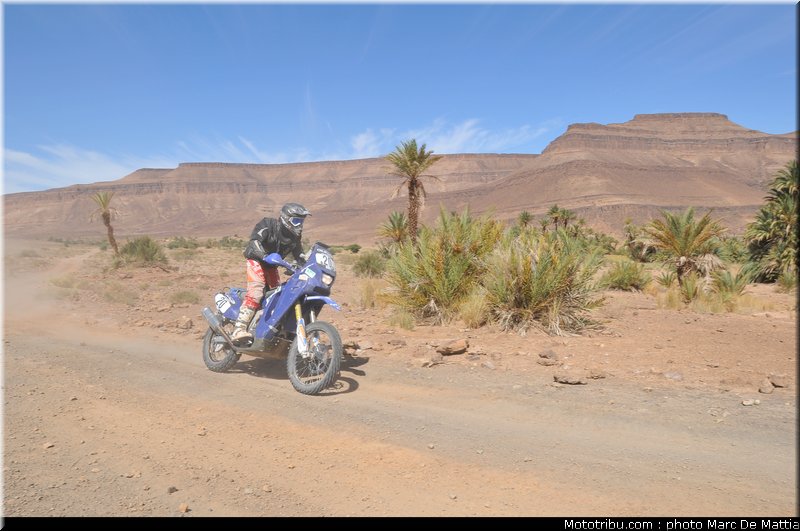 rallye_maroc_2010_oliveira_r_2