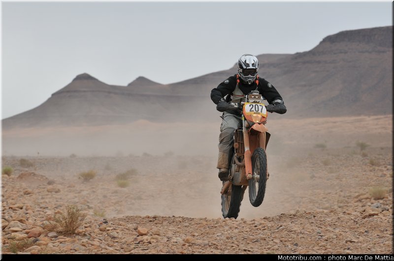 rallye_maroc_2010_pickering_4