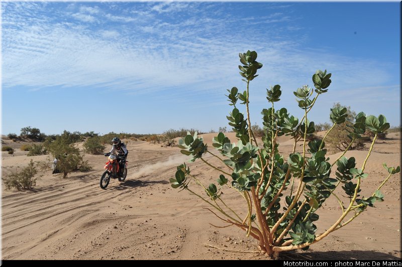 rallye_maroc_2010_rouze_3