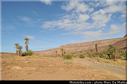 rallye_maroc_2010_ambiance_04.JPG