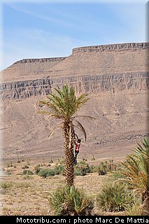 rallye_maroc_2010_ambiance_05.JPG