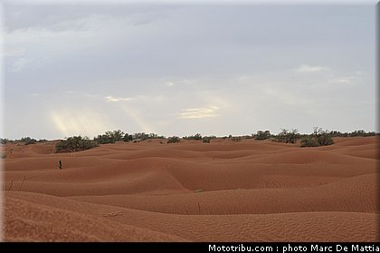 rallye_maroc_2010_ambiance_14.JPG