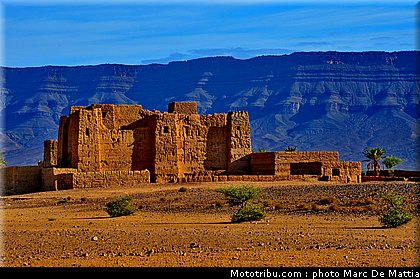 rallye_maroc_2010_ambiance_22.jpg
