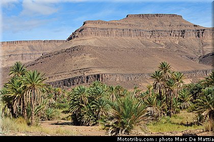 rallye_maroc_2010_ambiance_23.JPG