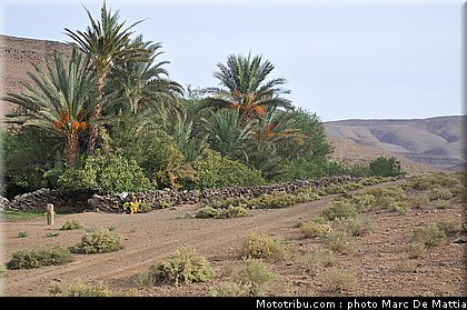 rallye_maroc_2010_ambiance_35.JPG