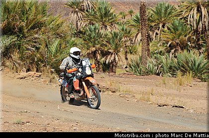 rallye_maroc_2010_cook.JPG