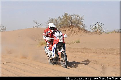 rallye_maroc_2010_dabrowski_03.JPG