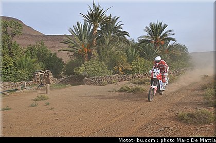 rallye_maroc_2010_dabrowski_04.JPG