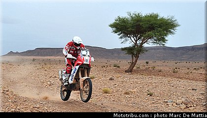 rallye_maroc_2010_dabrowski_07.JPG