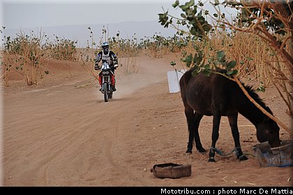rallye_maroc_2010_duarte_4.JPG