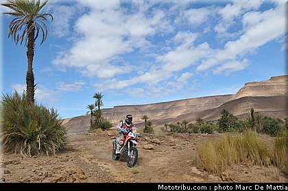 rallye_maroc_2010_goncalves_06.JPG