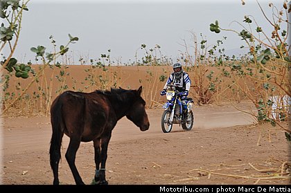 rallye_maroc_2010_moulin_07.JPG