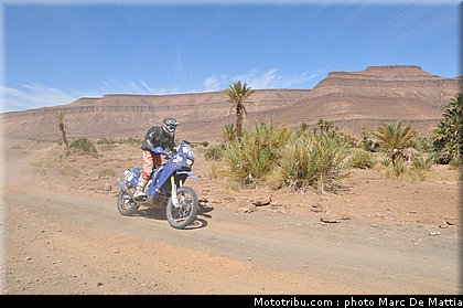 rallye_maroc_2010_oliveira_r_2.JPG