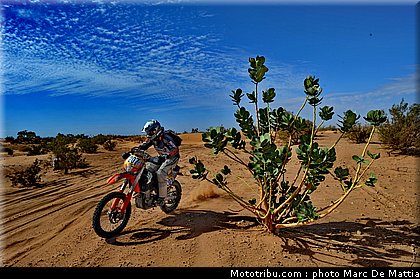 rallye_maroc_2010_pickering_1.JPG