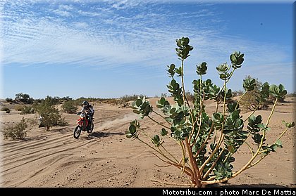 rallye_maroc_2010_rouze_3.JPG