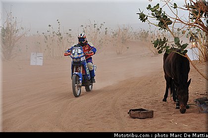 rallye_maroc_2010_sousa_1.JPG