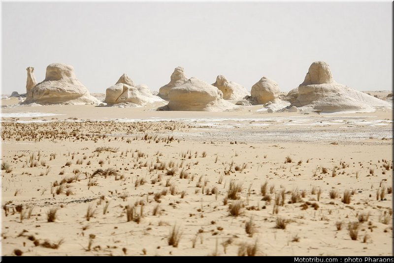 rallye_pharaons_021_2010