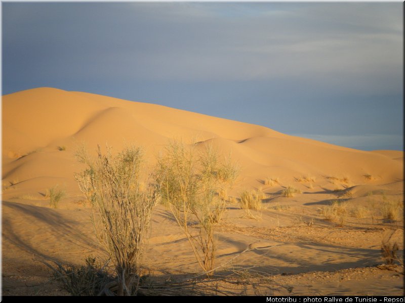 reconnaissance_08_rallye_tunisie_2010