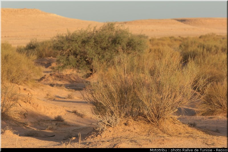 reconnaissance_17_rallye_tunisie_2010