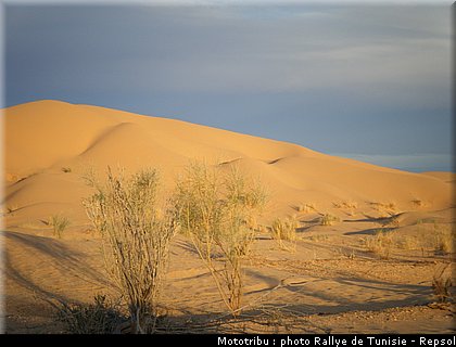reconnaissance_08_rallye_tunisie_2010.JPG
